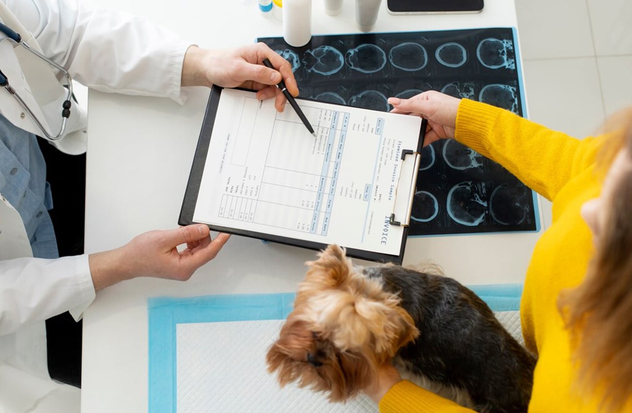 Onsite Diagnostics | Mill Creek Veterinary Hospital