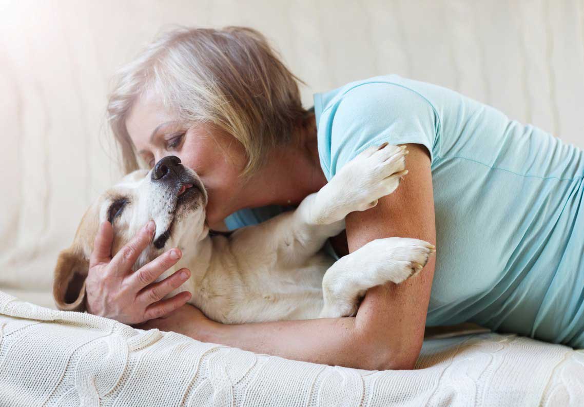 Pain Management | Mill Creek Veterinary Hospital